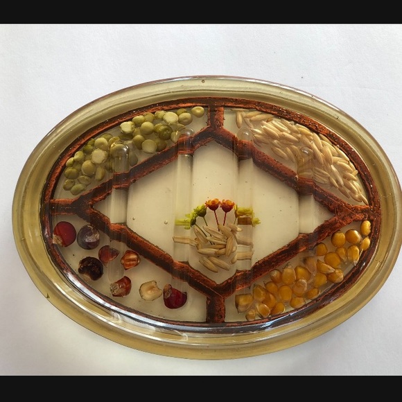 Other - Resin Grains & Seeds Soap Dish Vintage